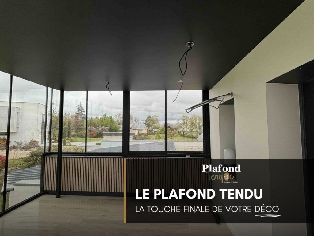 PLAFOND TENDOC GOOGLE 00011