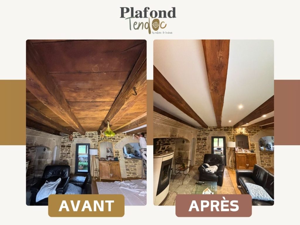 PLAFOND TENDOC GOOGLE 00014